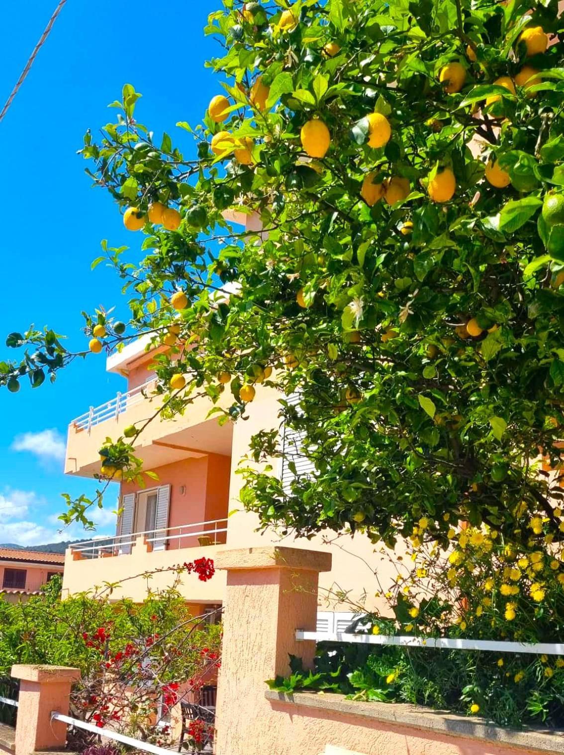 Casa Vacanze Mura كالا غونوني المظهر الخارجي الصورة