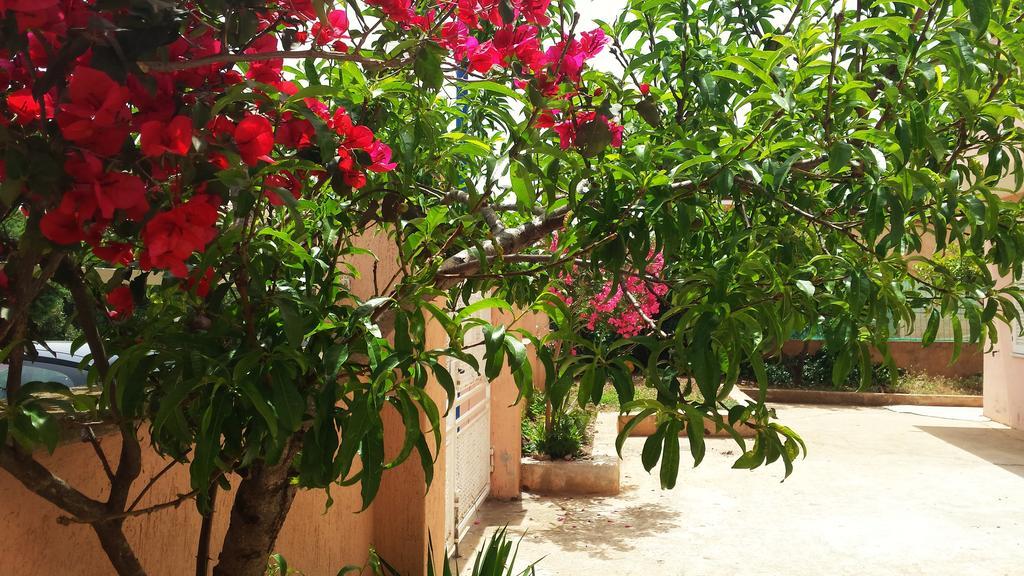 Casa Vacanze Mura كالا غونوني المظهر الخارجي الصورة